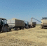 В Краснодарском крае аграрии планируют собрать свыше 900 тыс. тонн риса - Газета Тамань