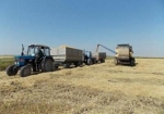 В Краснодарском крае аграрии планируют собрать свыше 900 тыс. тонн риса
