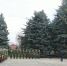 Спартакиада среди допризывной молодежи - МО Темрюкский район