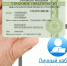 Школьникам и студентам Кубани для работы летом  необходимо оформить СНИЛС - МО Темрюкский район