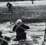 26 сентября 1943 года был высажен тактический десант Черноморского флота - МО Темрюкский район