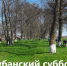 Всекубанский субботник - Темрюкское городское поселение