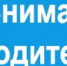 О работе дежурных групп в детских садах Темрюкского района - Управление образованием