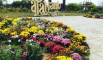 Предновогодняя программа в этно-станице "Атамань"
