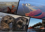 День моря