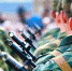 Военная служба по контракту – твой выбор! - МО Темрюкский район