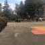 Спартакиады допризывной молодежи Краснодарского края - МО Темрюкский район