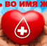 В Темрюке прошёл районный День донора - Газета Таманский Вестник