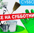 22 апреля на Кубани пройдёт Всероссийский субботник - Газета Таманский Вестник
