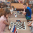 В Международный день шахмат в Голубицкой состоялся III этап Кубка спортшколы "Виктория" по шахматам - МО Темрюкский район
