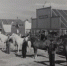 Достижения коневодов, 1951 год - Историко-Археологический Музей