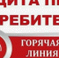 В Темрюкском районе заработала горячая линия по вопросам защиты прав потребителей в сфере оказания финансовых услуг - Газета Таманский Вестник