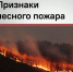 Во всех муниципальных образованиях Кубани введён особый противопожарный режим - Темрюкское городское поселение