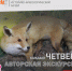 Ждем вас в нашем музее! - Историко-Археологический Музей