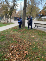 Благоустройство Темрюка