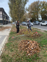 Благоустройство Темрюка
