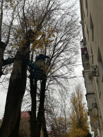 Благоустройство Темрюка
