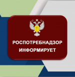изображение_2024-12-06_112037005