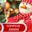 В Темрюке с завтрашнего дня заработает горячая линия по вопросам качества и безопасности детских товаров и выбору новогодних подарков - Газета Таманский Вестник
