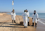 С завтрашнего дня в кубанской зоне «мазутного» ЧС на Чёрном море вдвое сократят численность волонтёров