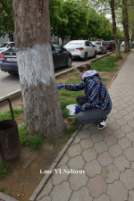 Субботник в городе