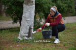 Субботник в городе