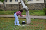 Субботник в городе