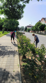 Благоустройство Темрюка