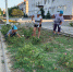 Благоустройство города Темрюка - Темрюкское городское поселение