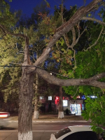 Безопасность превыше всего: упавшее дерево по улице Ленина спилили в Темрюке