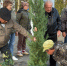 Аллея памяти чернобыльцев высажена в станице Старотитаровской - Тамань