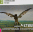 Новая встреча в вечернем музее — уже сегодня! - Историко-Археологический Музей